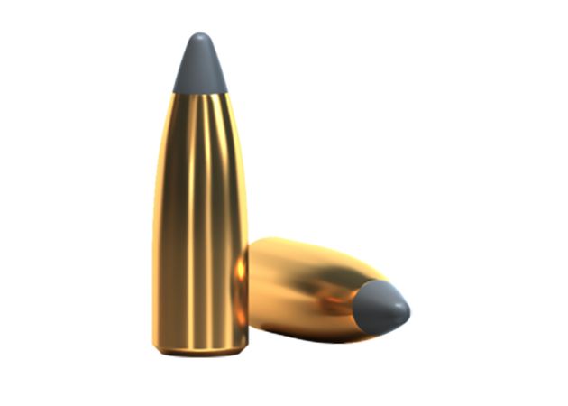 Kogelpatronen Sellier & Bellot .22-250 Rem SP 55 grain (3)