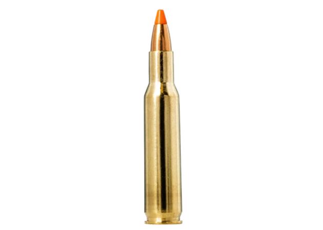 Kogelpatronen Norma Tipstrike Varmint .222 Rem 55 grain (3)