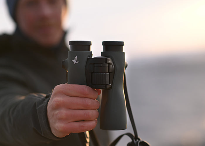 Swarovski NL Pure 12x42 Fernglas