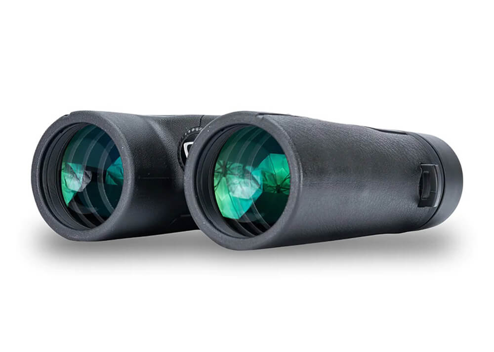 Vanguard Vesta 10x42 Fernglas