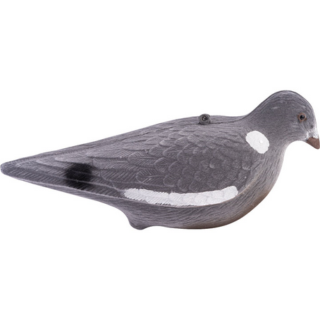 Geflockte Duif Lokvogel Volledig Lichaam