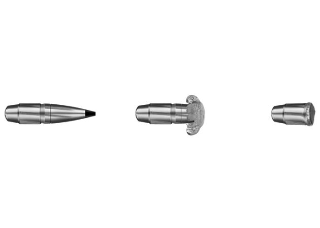 Kogelpatronen RWS .308 Win Speed Tip Professional Short Rifle 165 grain (2)