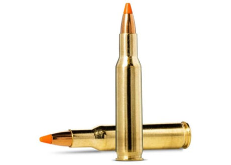 Kogelpatronen Norma Tipstrike Varmint .222 Rem 55 grain (2)