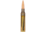 Kogelpatronen SSD Pandora .338 Lapua Magnum Solid 245 grain (2)