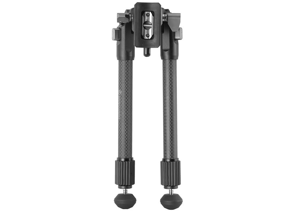 Zweibein Vanguard EQ-Precision 2QS – Carbon