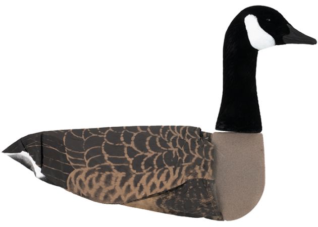 Ganzenlokker Sillosocks Canadese Gans Statig