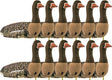Ganzenlokker Sillosocks FlockSox Grauwe Gans Statig 12-Pack