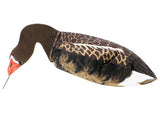 Ganzenlokker Sillosocks Grauwe Gans Foeragerend 6-Pack (2)