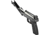 Gamo AF-10