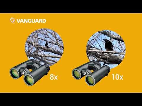 Vanguard VEO HD2 10x42 Verrekijker (3)