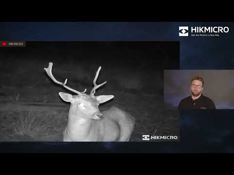 HikMicro Cheetah 850 nm IR-Nachtsichtgerät