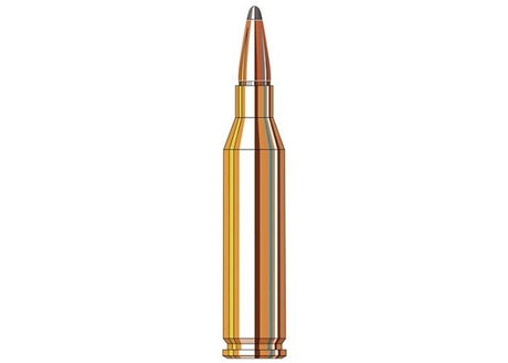 Kogelpatronen Hornady American Whitetail .243 Win Interlock 100 grain (3)