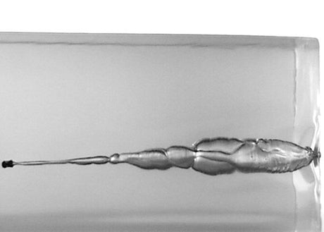 Luchtdrukkogeltjes Norma Golden Trophy FT Heavy 5.5 mm 17.6 grain (2)