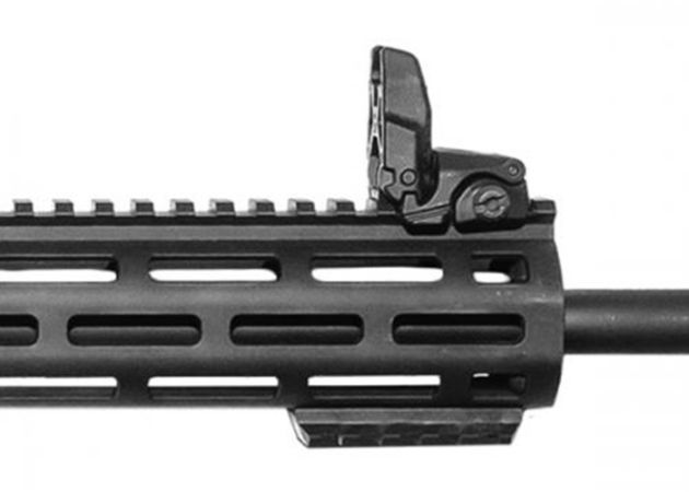 Smith & Wesson M&P15-22 Sport (3)