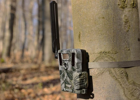 Wildcamera HikMicro M15 (2)